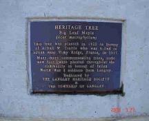 Trattle Memorial Maple Tree marker; Township of Langley, 2006