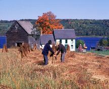 Village historique de Kings Landing - la fenaison; Province of New Brunswick - image 548