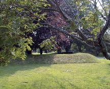 Le fort Tipperary - le canon et le terrain; PNB 2004
