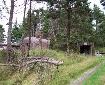 Exterior photo showing entrance to 282 Coastal Defence Battery, Argentia, NL. Note the gun located at the left of the photo.  A second gun is located at the opposite end of the underground complex.; HFNL/Andrea O'Brien 2005