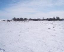Eason's Grove in winter, 2006; Mike Fedyk, 2006