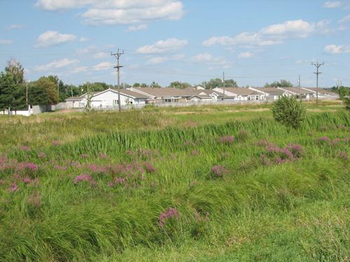 Darois-Breau Founders' Site