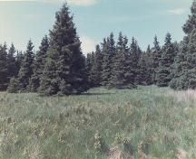 Northern half of Fort facing north, fort site, Fort Toulouse, Nova Scotia, 1985.; Parks Canada 1985
