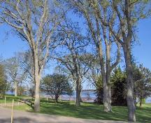 Showing mature trees with Hillsborough River in the distance; City of Charlottetown, Natalie Munn, 2007