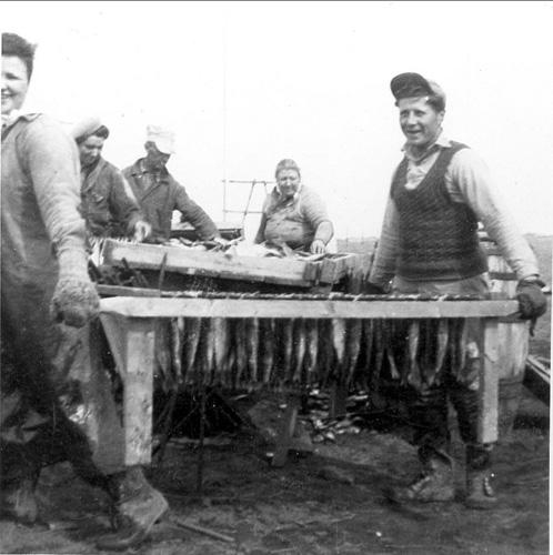 Boucanière Willie Niles