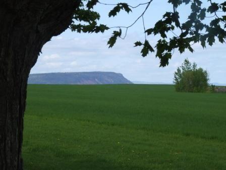 View of Minas Basin from Sanford Barn