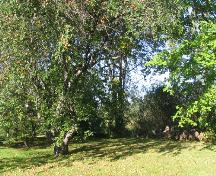 Saint-Louis College Site - Partially wooded grounds - Apple trees surround depressions where the Saint-Louis College was located.; Village of Saint-Louis-de-Kent