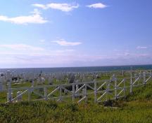 View looking northwest of the Old Anglican Cemetery, Anchor Point, NL. Photo taken Angust 2007.; Town of Anchor Point 2007