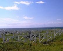 View looking northwest of the Old Anglican Cemetery, Anchor Point, NL. Photo taken Angust 2007.; Town of Anchor Point 2007