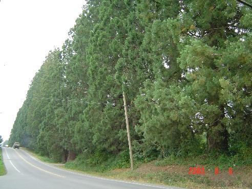 Exterior view looking west