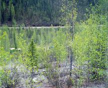 Vue générale d'une partie du lieu historique national du Canada de la Concession-de-la-Découverte (Concession no 37903), montrant le terrain présentant les effets de l'ancien dragage, 1998.; Agence Parcs Canada/Parks Canada Agency, John Gould, 1998.