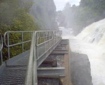 Image de l'échelle à poissons; Norma Stewart