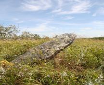 View, from the east, of the Arrow River Standing Stone Site, Hamiota area, 2006; Historic Resources Branch, Manitoba Culture, Heritage, Tourism and Sport, 2006