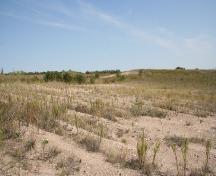 Detail view, from the east, of the Campbell Beach Ridge at the Arden Mound and Camp Site, Arden, 2006; Historic Resources Branch, Manitoba Culture, Heritage, Tourism and Sport, 2006