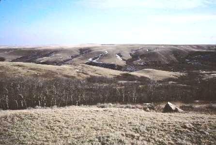 Site Area