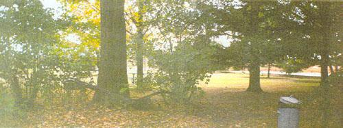 Vue générale