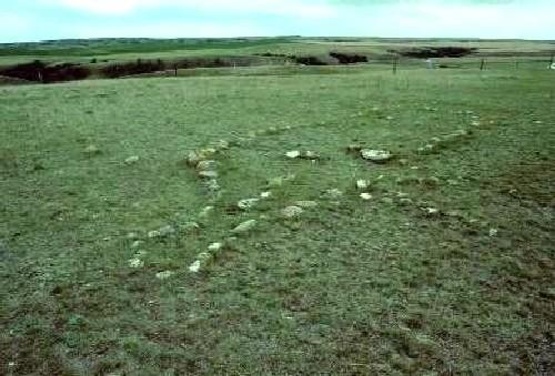 Buffalo Effigy