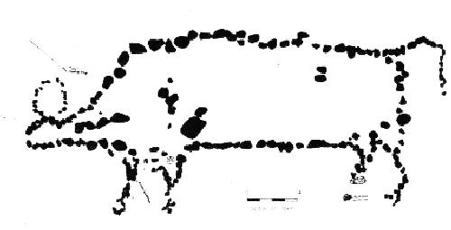 Buffalo Effigy - Plan View