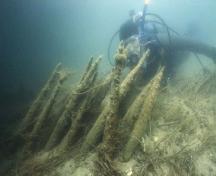 View of Huron-Wendat era weir stakes placed underwater, 2006.; Agence Parcs Canada / Parks Canada Agency, 2006.