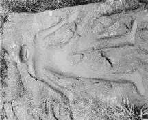 Vue d'un pétroglyphe qui se trouve au lieu historique national du Canada du Passage-Metlakatla, 1998.; Agence Parcs Canada / Parks Canada Agency, L. Dick, 1998.