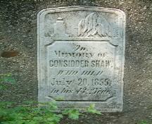 Close-up of the monuments of the Upper Farm Cemetery; Haldimand County
