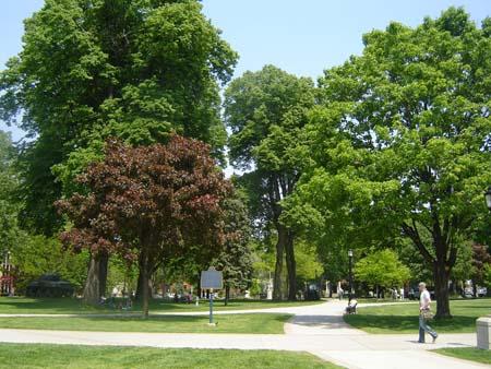 Victoria Park, 2007