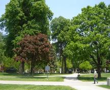 Featured are the tree lined walkways.; Martina Baunstein, 2007.