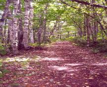 Showing an unimproved section of the road; Malpeque Historical Society, 2005
