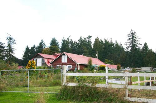 Oblique view