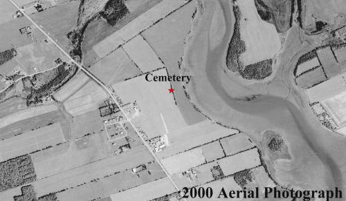 Aerial view shows trees have disappeared