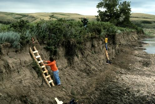 Bank profiling in progress