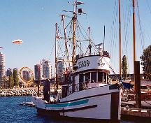 General view of Motor Vessel BCP 45, showing its inherent characteristics that typify a wooden fish seiner of the west coast, 1999.; Parks Canada Agency / Agence Parcs Canada, Arnold E. Roos, 1999.