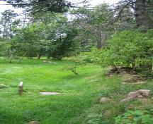 Showing stone dyke on the right; Charlotte Stewart, 2008