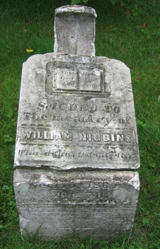 Showing Higgins stone