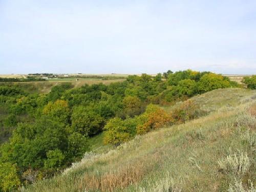 Site Location
