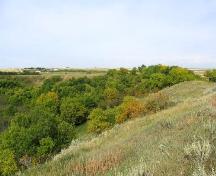 View northwest at site located in trees at foot of valley slope, 2004.; Government of Saskatchewan, Marvin Thomas, 2004.