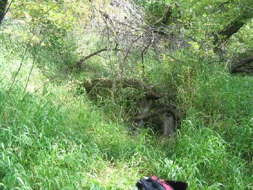 Cabin Remains