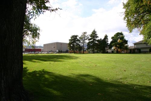 View across site