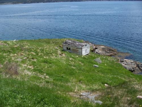 Hunt's Point, Harbour Breton, NL. 