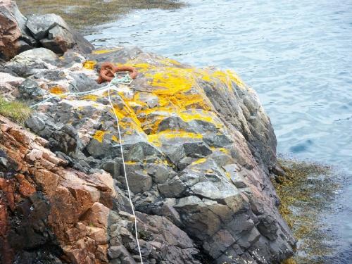 Hunt's Point, Harbour Breton, NL. 