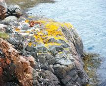 View of the ring-bolt on Hunt's Point, Harbour Breton, NL. Taken 2009. ; Doug Wells 2009