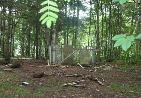 Location of the cemetery in wooded area