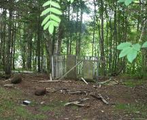 Location of the cemetery in wooded area; Donna Collings, 2008