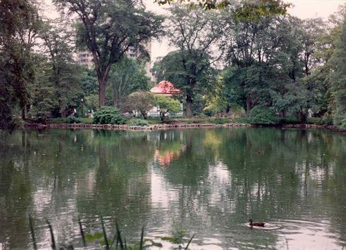 Griffin's Pond