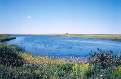 Overview of Campbell's Pond
