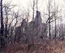 Vue générale des ruines de la maison Glengarry, qui montre les murs de pignon en pierres des champs, 1996.; Parks Canada Agency / Agence Parcs Canada, Dennis Carter-Edwards, 1996.