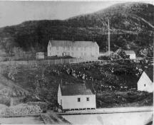 Newman and Company plantation, Harbour Breton, NL circa 1892 showing the flag on Newman’s Flagpole Rock. ; Elliott Premises (Newman and Co. Photo Album) 2009