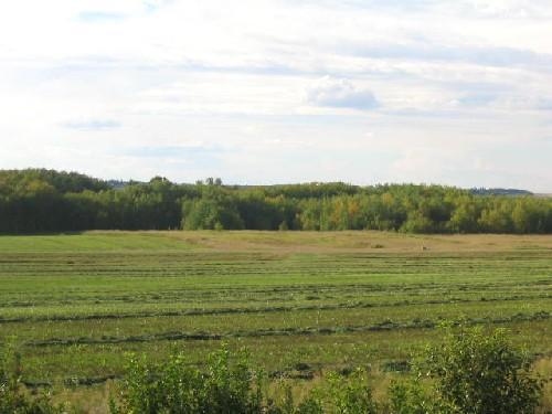 Site Location