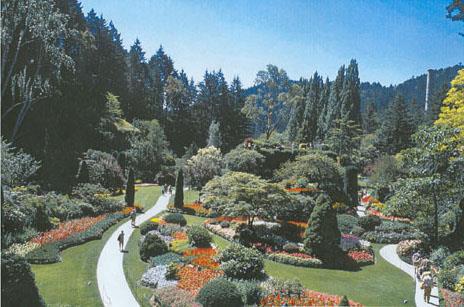 Vue générale
