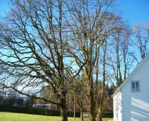 Tsolum River Garry Oak Ecosystem; City of Courtenay, 2009